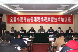 技術(shù)推廣服務中心 驅(qū)動創(chuàng)新與發(fā)展的關(guān)鍵橋梁