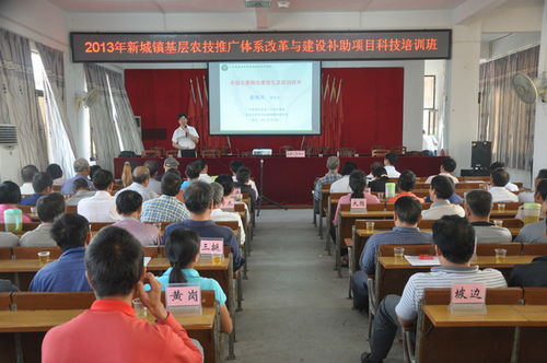 新城鎮(zhèn)農(nóng)技推廣體系改革與建設補助項目科技培訓班 賦能現(xiàn)代農(nóng)業(yè)，服務鄉(xiāng)村振興