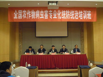 技術(shù)推廣服務中心 引領創(chuàng)新成果轉(zhuǎn)化的專業(yè)平臺